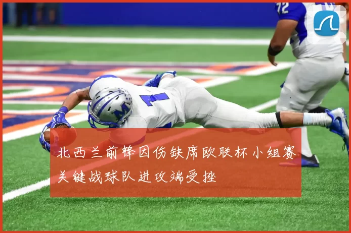 北西兰前锋因伤缺席欧联杯小组赛关键战球队进攻端受挫