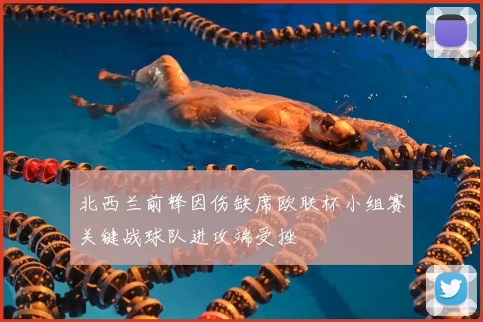 北西兰前锋因伤缺席欧联杯小组赛关键战球队进攻端受挫