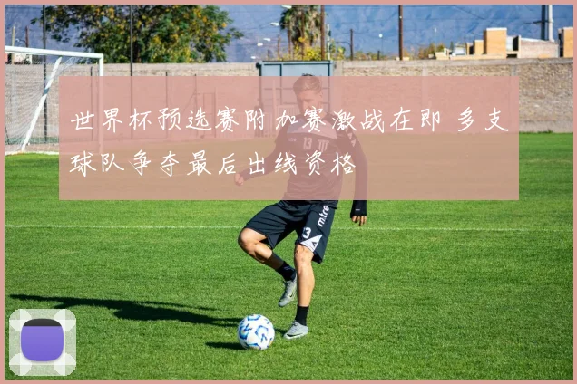 世界杯预选赛附加赛激战在即 多支球队争夺最后出线资格